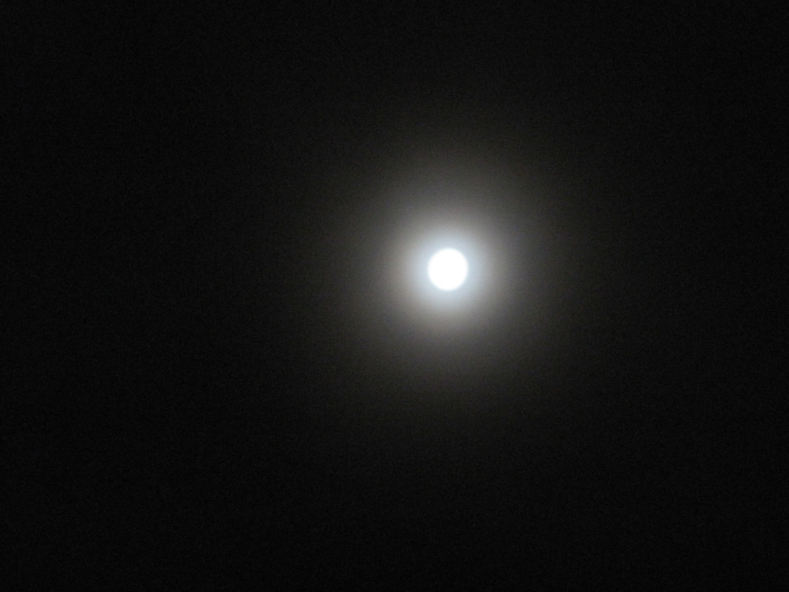 月明かり_f0236260_19122389.jpg