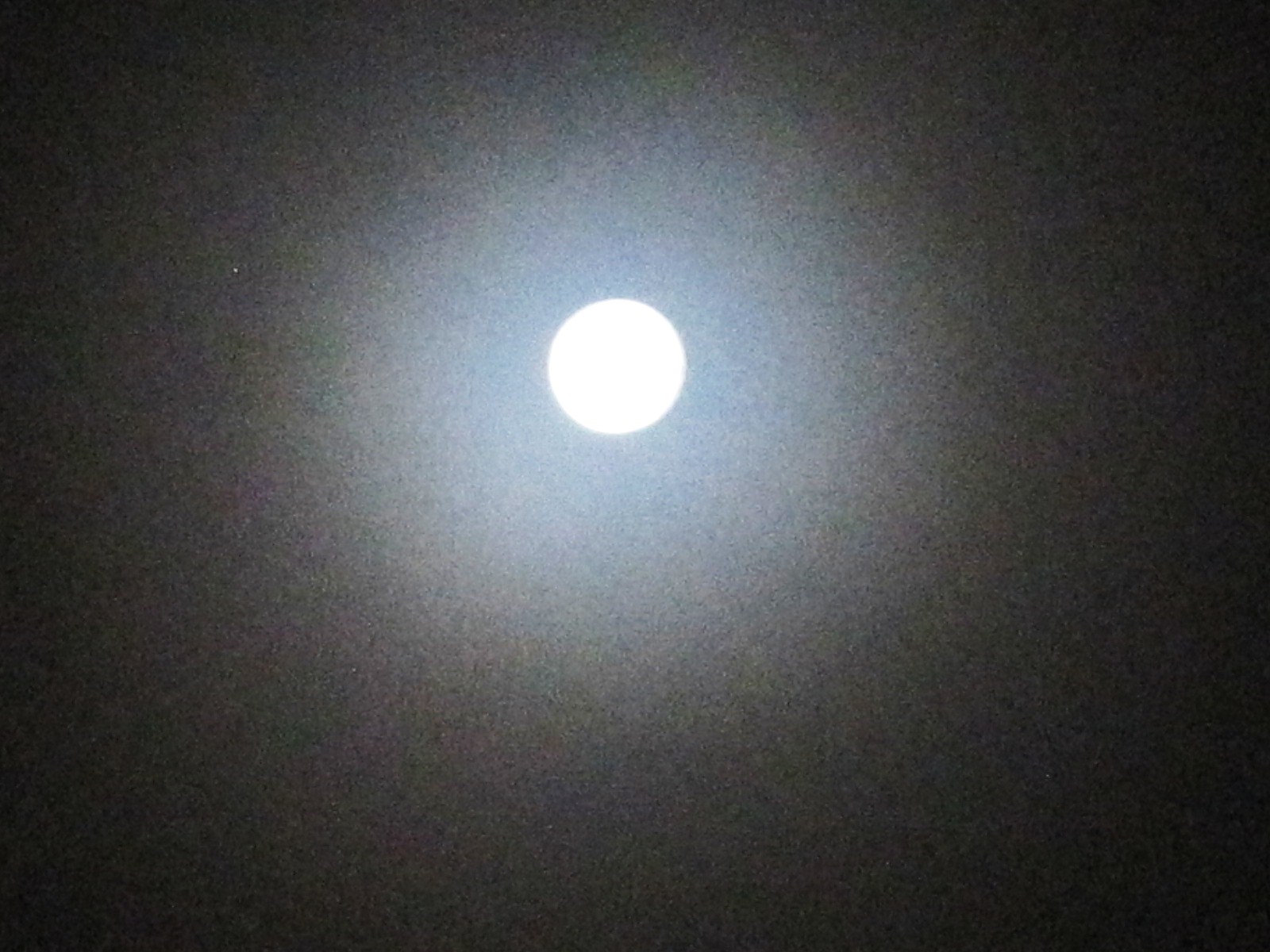 月明かり_f0236260_19141487.jpg