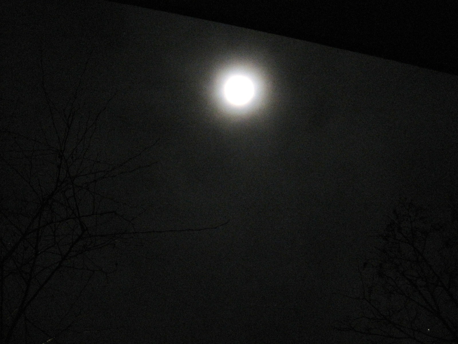 月明かり_f0236260_196444.jpg
