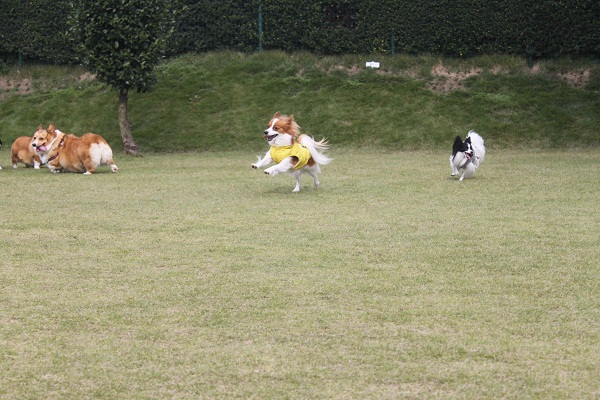 f0181462_2101963.jpg