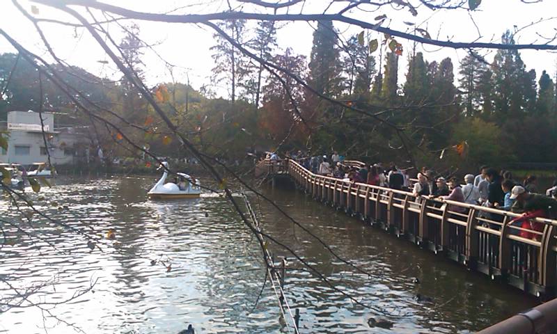 井の頭恩賜公園_d0158464_0141336.jpg