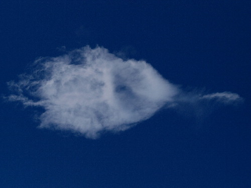 f0208666_19425853.jpg