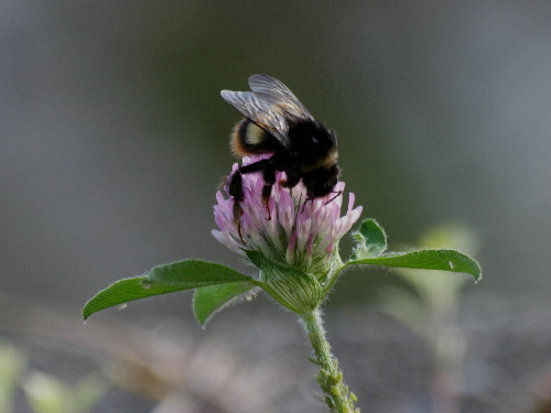 f0208666_2011020.jpg