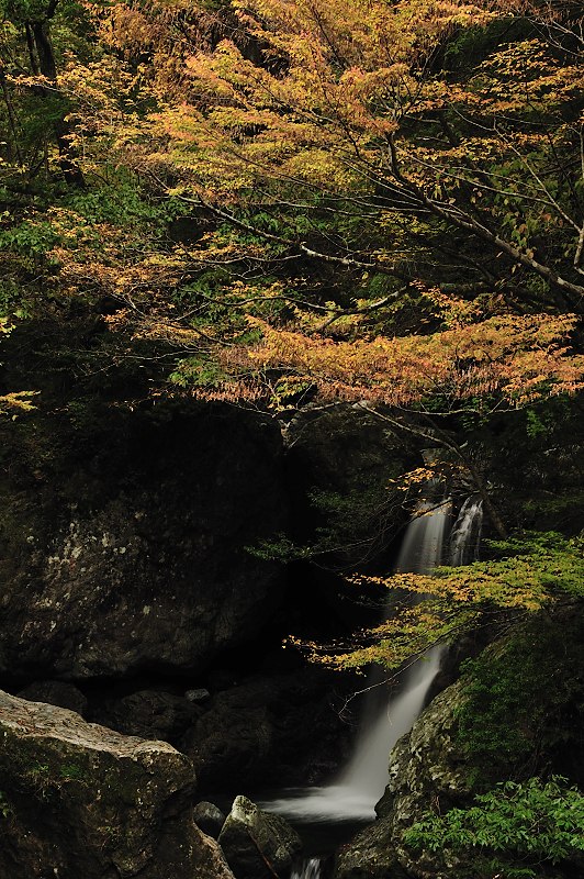 秋深まる岩戸の滝_f0067667_6282018.jpg