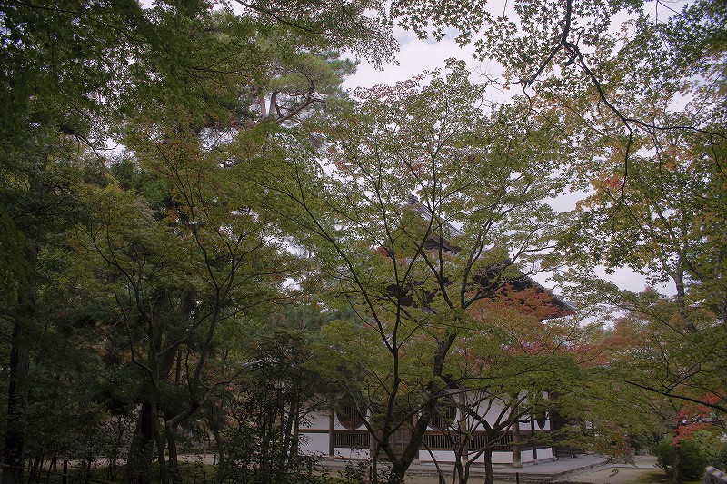 b0198768_213916.jpg
