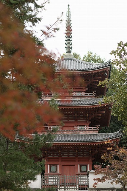 b0198768_2292890.jpg