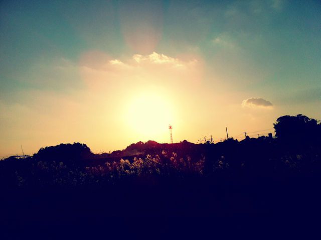 e0242472_11482551.jpg