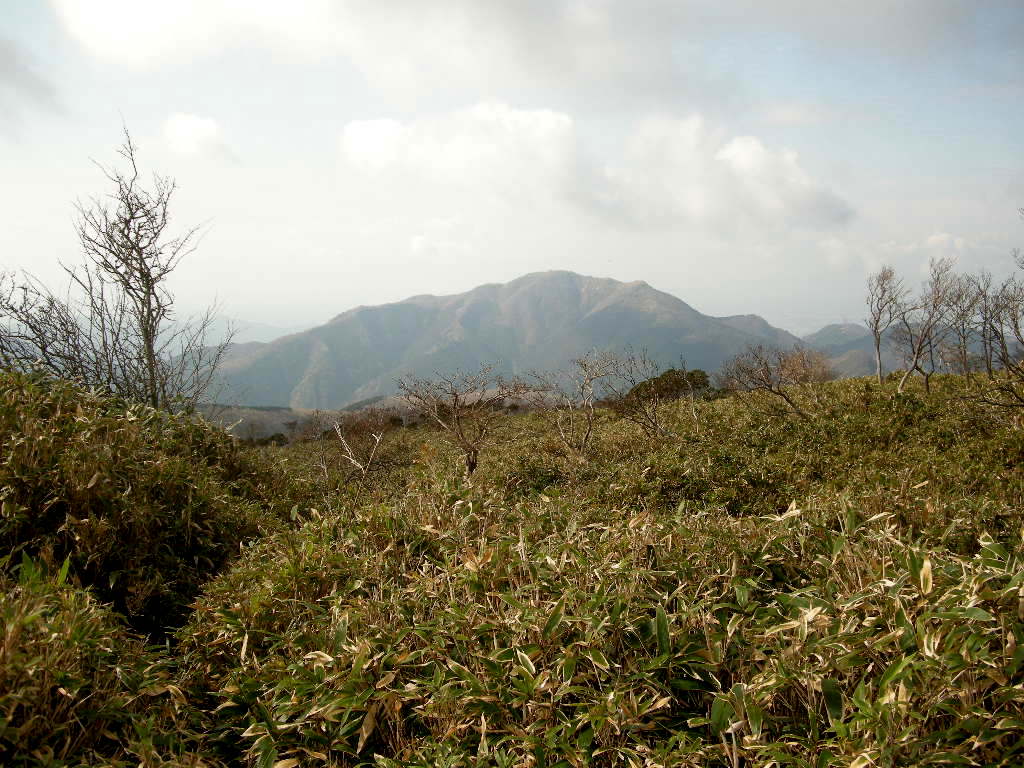 b0185573_9222227.jpg