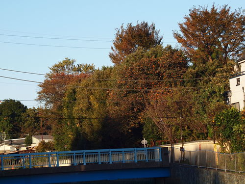 e0232277_1445895.jpg
