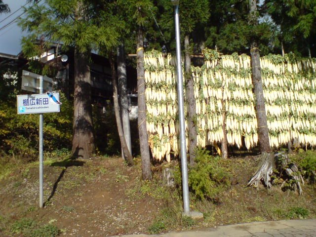 深山初冠雪_d0182179_19242455.jpg