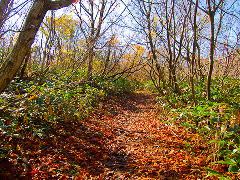 c0203681_1750188.jpg