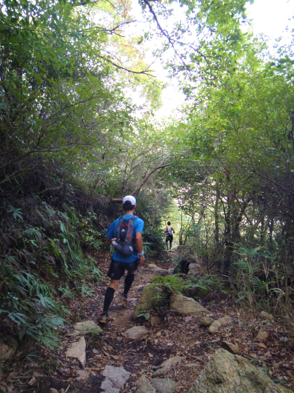 2011/11/12 Trail Session & Newハレテーピング講習会アドバンス_b0220886_0104010.jpg