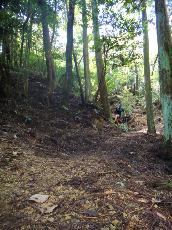 2011/11/12　Trail Session & Newハレテーピング講習会アドバンス_b0220886_015594.jpg