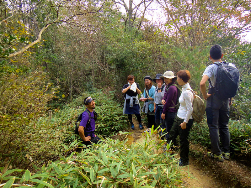 2011/11/やまぶ荒地山ハイキング_b0220886_0275064.jpg