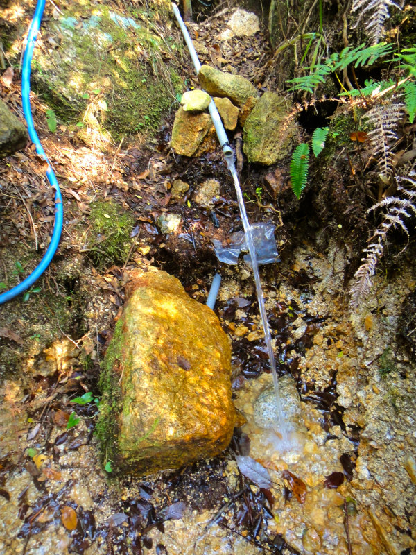 2011/11/やまぶ荒地山ハイキング_b0220886_0371959.jpg