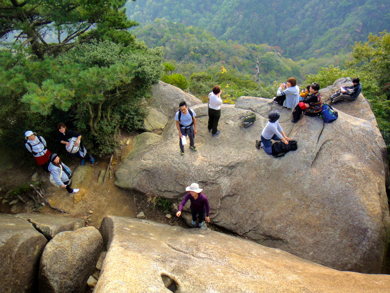2011/11/やまぶ荒地山ハイキング_b0220886_0394028.jpg