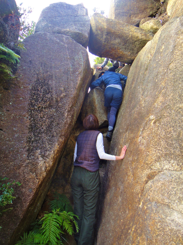 2011/11/やまぶ荒地山ハイキング_b0220886_0445186.jpg