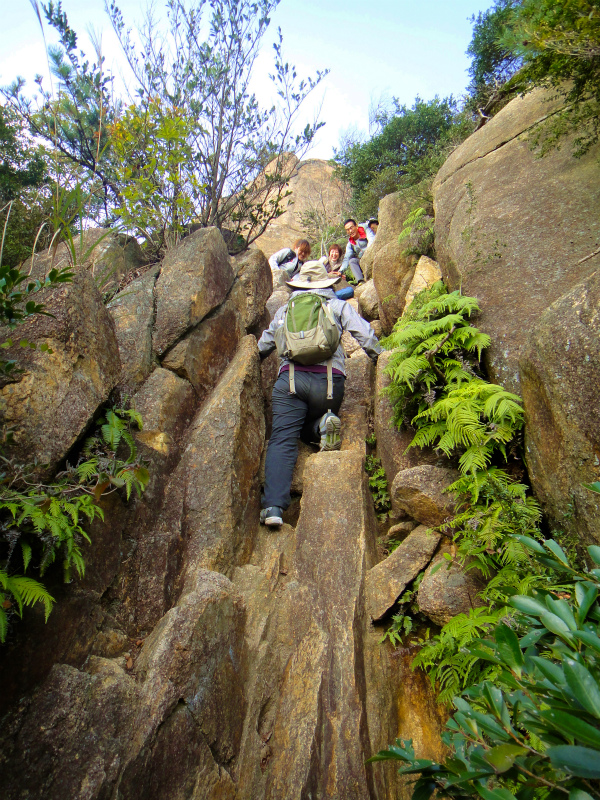 2011/11/やまぶ荒地山ハイキング_b0220886_045327.jpg