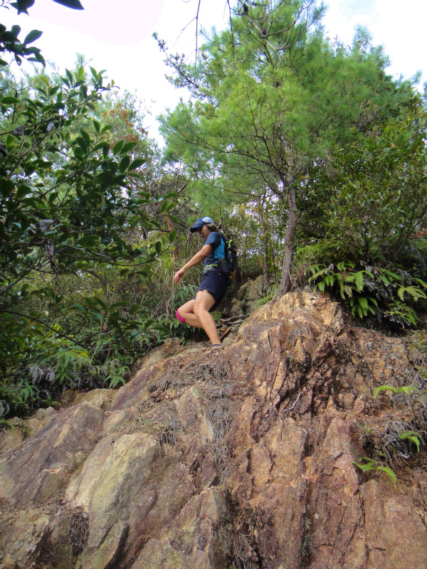 2011/11/12 Trail Session & Newハレテーピング講習会アドバンス_b0220886_091550.jpg