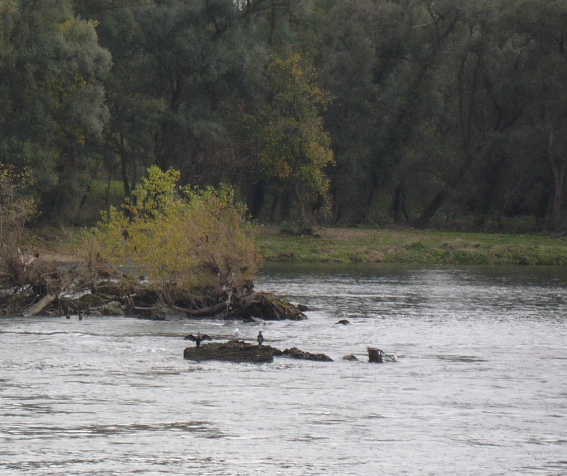 a0216392_1394918.jpg