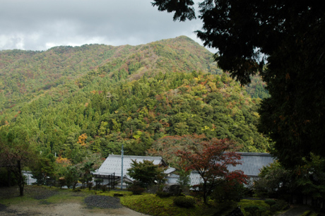 鈍行で小浜に・・・_d0234293_7145372.jpg