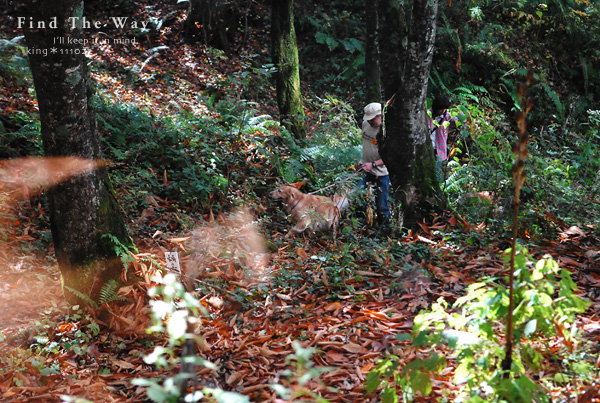 【wanこ】高山オフ 2011 vol.13 〜 三たびサロンへ_f0054594_19424970.jpg