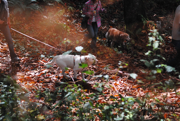 【wanこ】高山オフ 2011 vol.13 〜 三たびサロンへ_f0054594_19431343.jpg