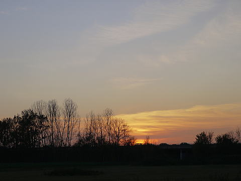 c0090198_2572053.jpg