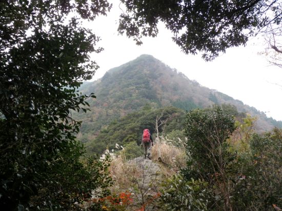 裏英彦山　峰入り古道　縦走②_f0036700_1736294.jpg