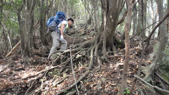 裏英彦山　峰入り古道　縦走②_f0036700_17363870.jpg