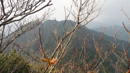 裏英彦山　峰入り古道　縦走②_f0036700_1736874.jpg