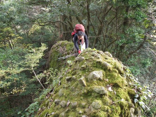 裏英彦山　峰入り古道　縦走②_f0036700_17384214.jpg