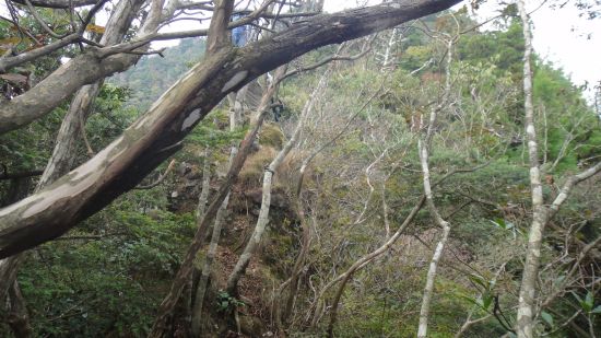 裏英彦山　峰入り古道　縦走②_f0036700_1739739.jpg