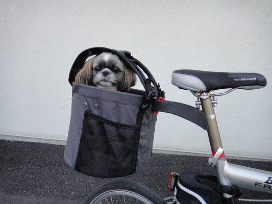 ワンちゃん専用バッグ : FARMな一日