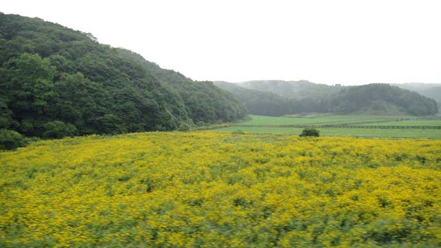 d0004301_23524848.jpg