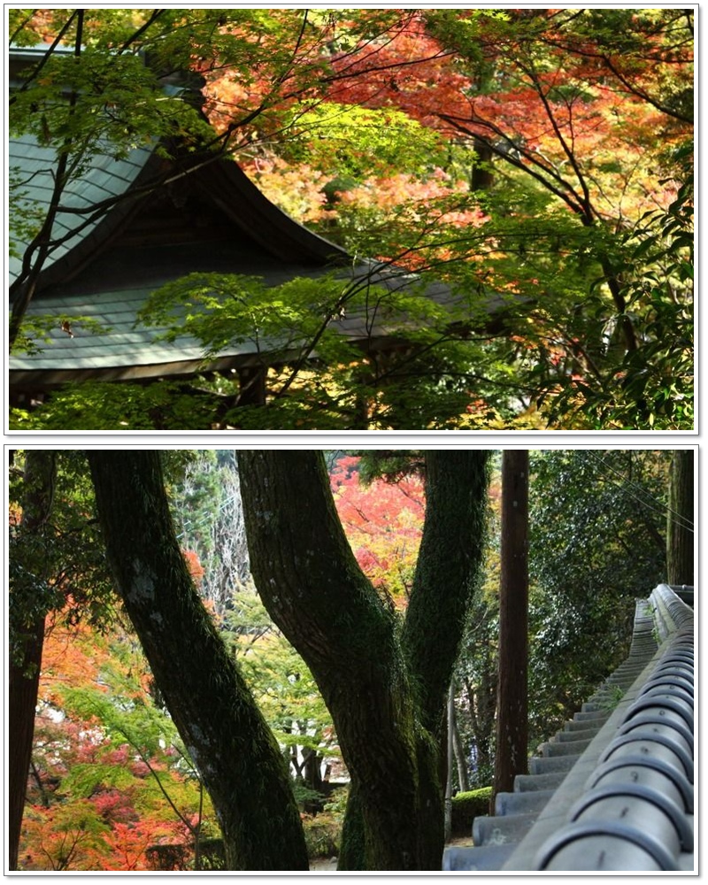 大窪寺の紅葉　　(香川）_a0057905_1951323.jpg