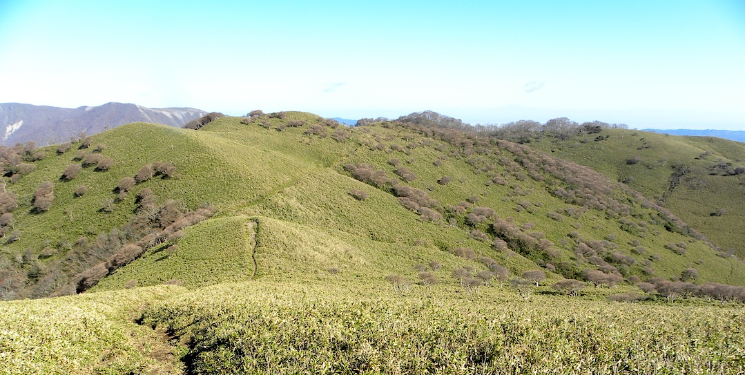 c0078410_8482638.jpg