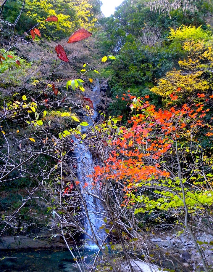 c0078410_8594090.jpg