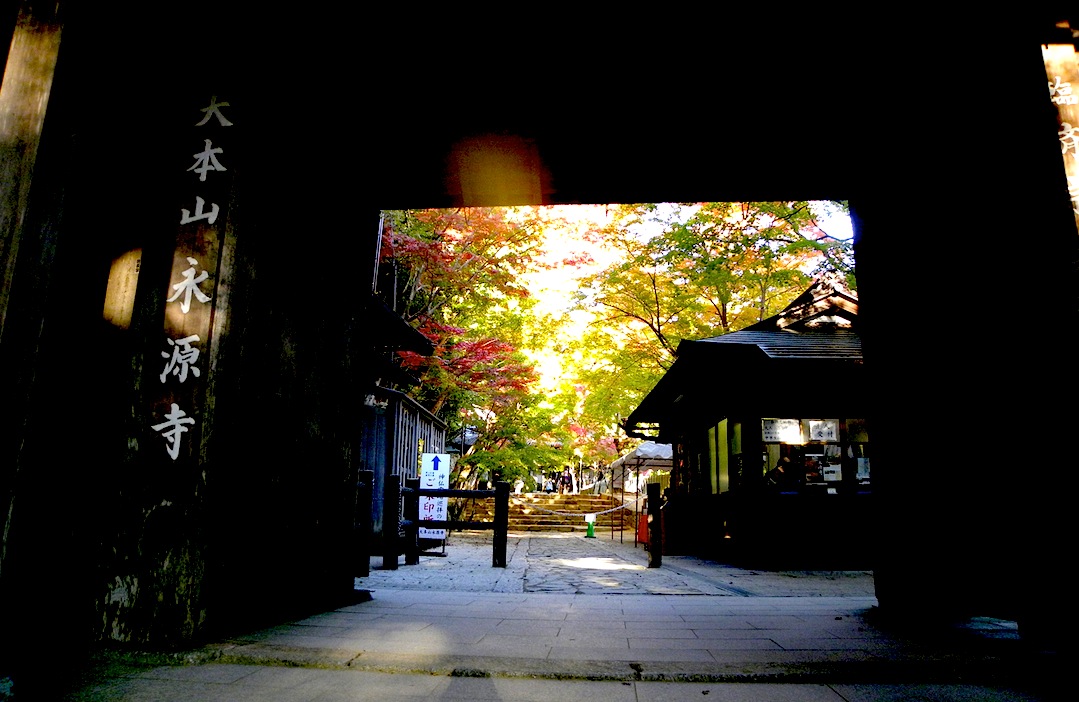 c0078410_942255.jpg