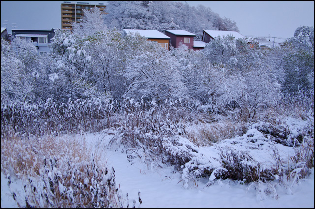 札幌の雪景色_b0019313_174116.jpg