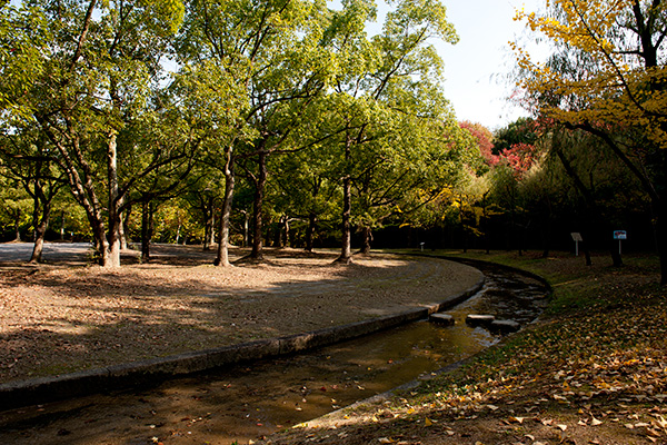 a0140914_23482690.jpg