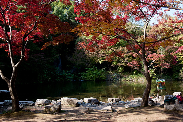 ブラミネ 秋の万博公園_a0140914_23492429.jpg