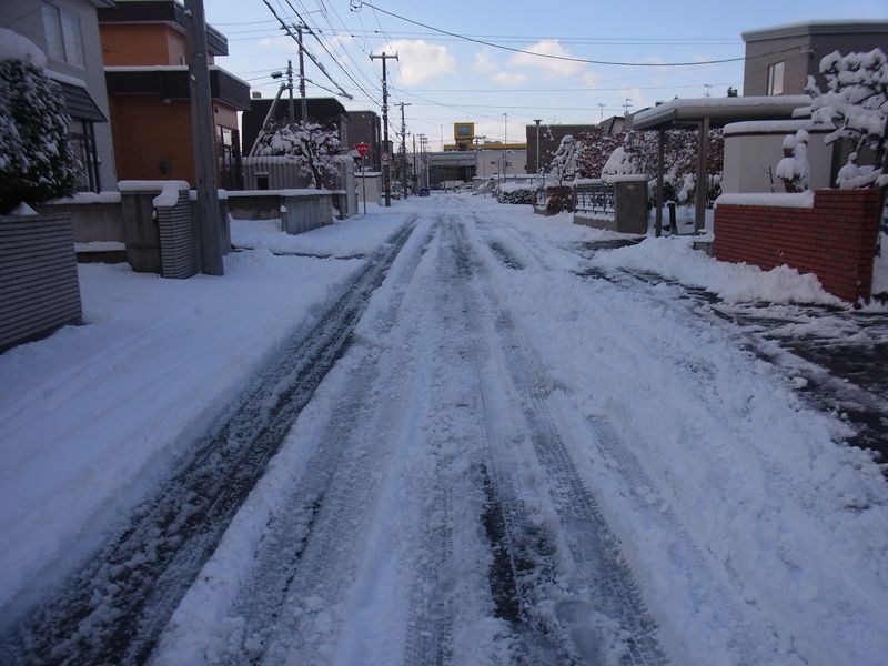 いきなりの本格的降雪_c0025115_19295964.jpg