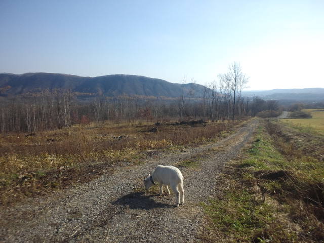 e0236715_96474.jpg