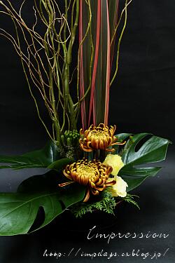 枝物 Impression Days 枝物 Impression Days
