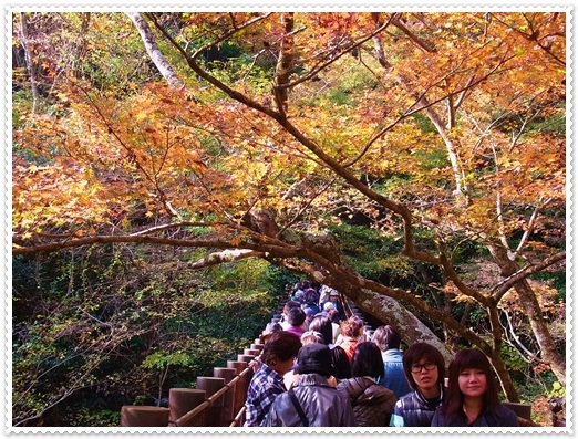 花貫渓谷~竜神大橋～袋田の滝_c0223117_22524810.jpg