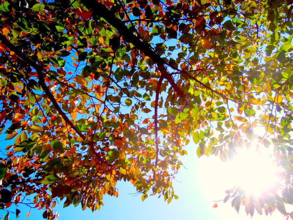 a0237920_22961.jpg
