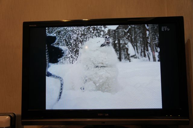 テレビに出たんだワン！_f0234023_21211373.jpg