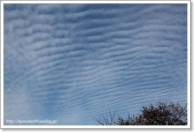 11月17日　今朝の空_d0087630_18271466.jpg