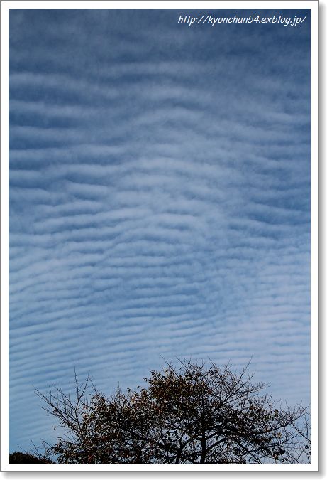 11月17日　今朝の空_d0087630_18283569.jpg